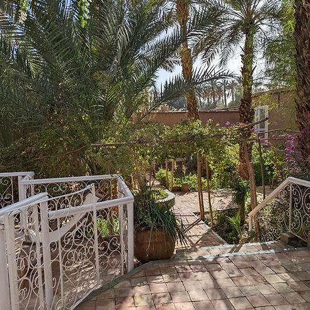 Villa Zagora Ma Villa Au Sahara Kültér fotó