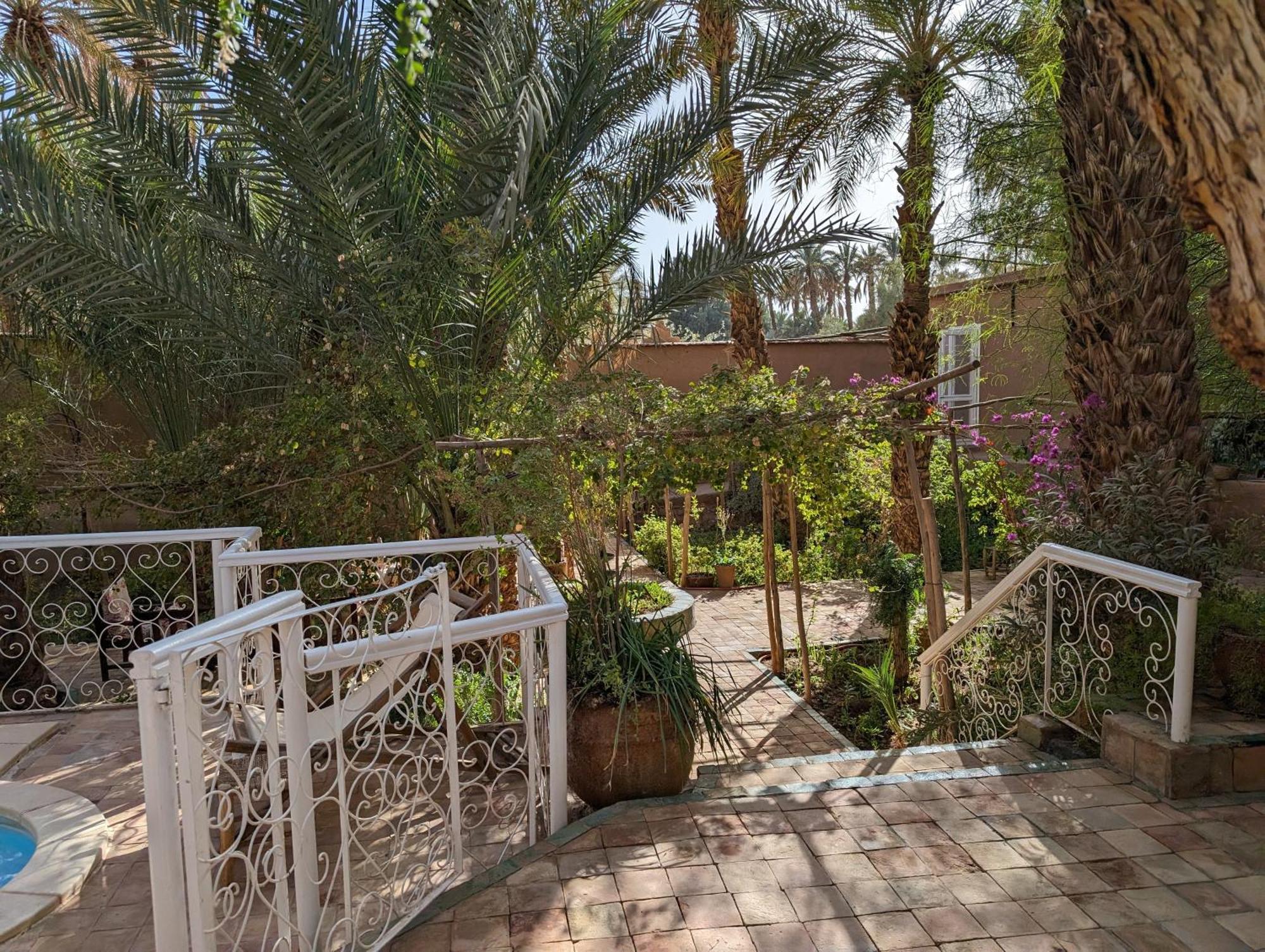 Villa Zagora Ma Villa Au Sahara Kültér fotó