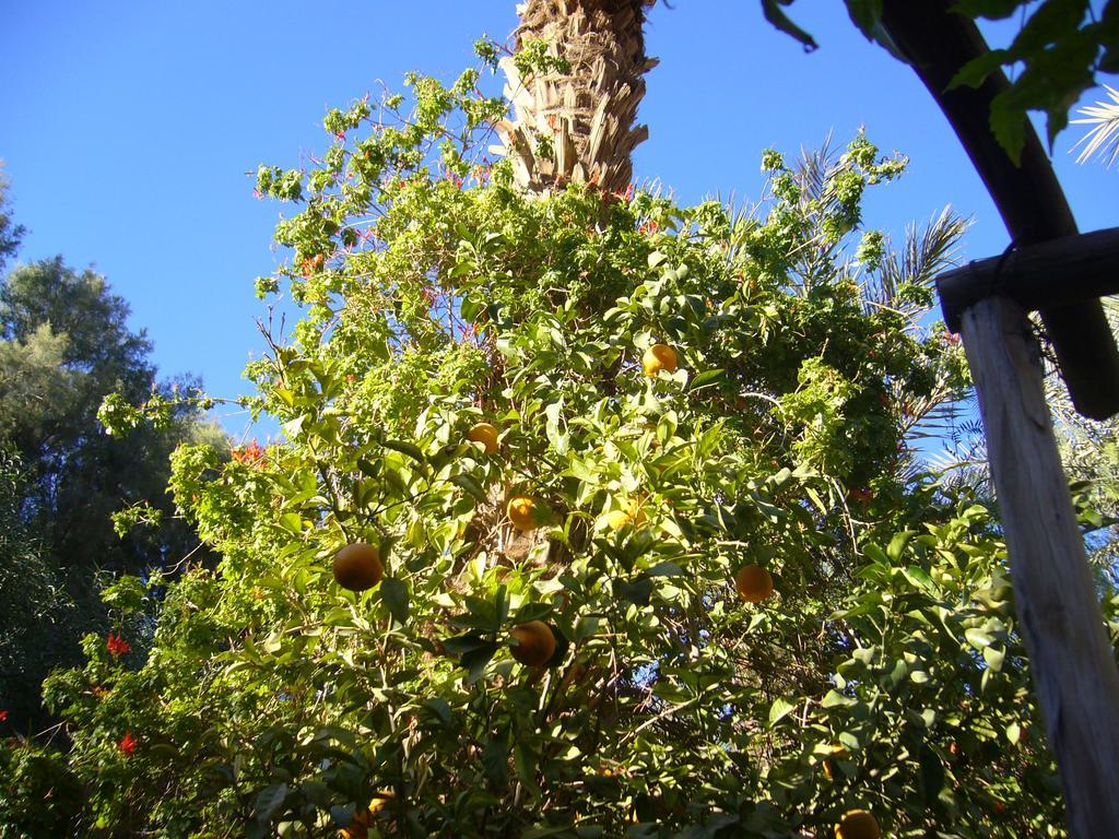 Villa Zagora Ma Villa Au Sahara Kültér fotó