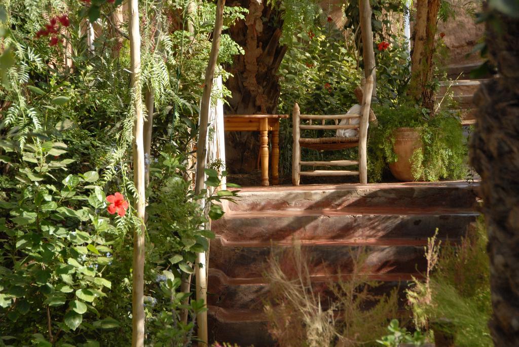 Villa Zagora Ma Villa Au Sahara Kültér fotó