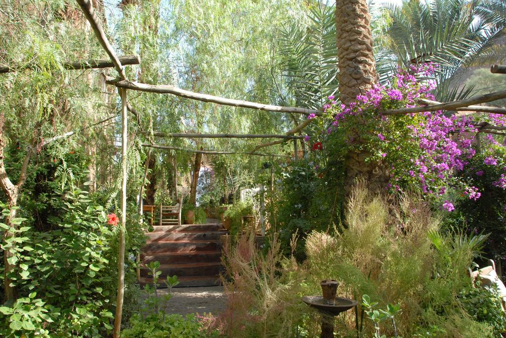 Villa Zagora Ma Villa Au Sahara Kültér fotó