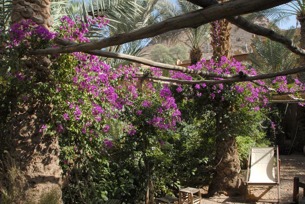 Villa Zagora Ma Villa Au Sahara Kültér fotó
