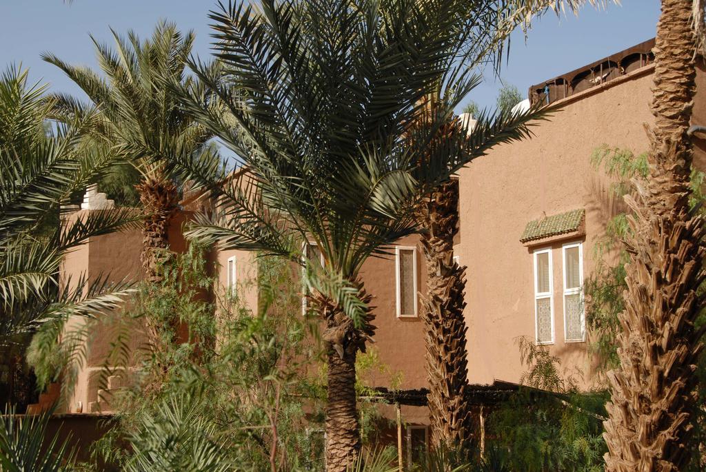 Villa Zagora Ma Villa Au Sahara Kültér fotó