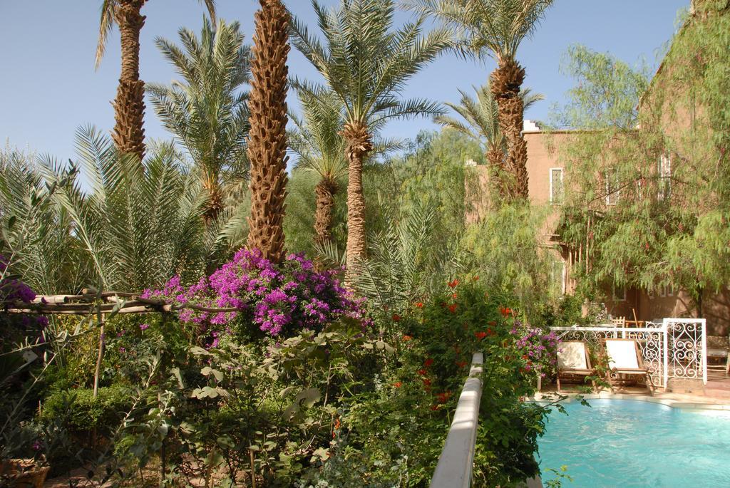 Villa Zagora Ma Villa Au Sahara Kültér fotó