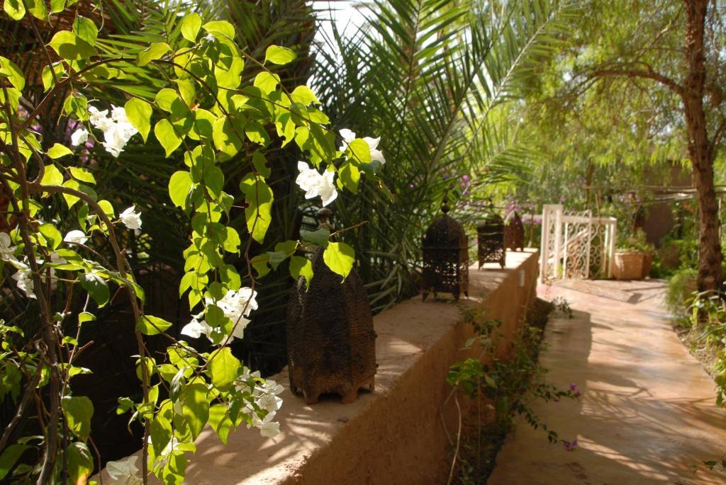 Villa Zagora Ma Villa Au Sahara Kültér fotó