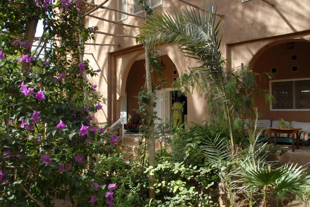 Villa Zagora Ma Villa Au Sahara Kültér fotó